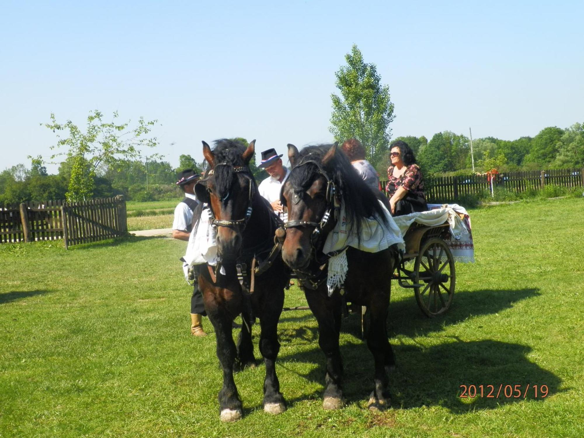 فندق Tradicije Čigoč المظهر الخارجي الصورة